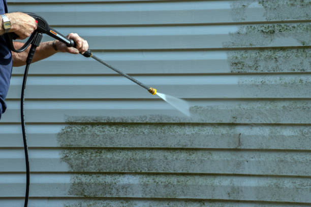 Best Solar Panel Cleaning  in Belleair Bluffs, FL